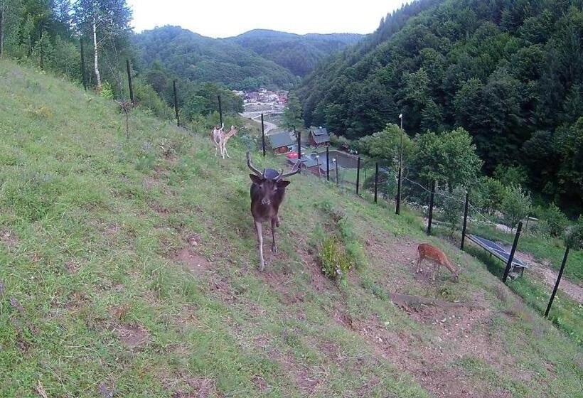 リゾートホテル Pastravaria Romani