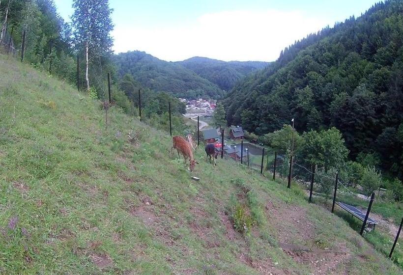 リゾートホテル Pastravaria Romani