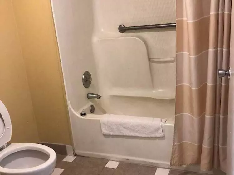 בית מלון כפרי Americas Best Inn   Savannah I 95