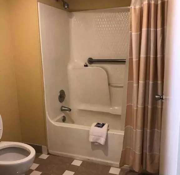 호텔 Americas Best Inn   Savannah I 95