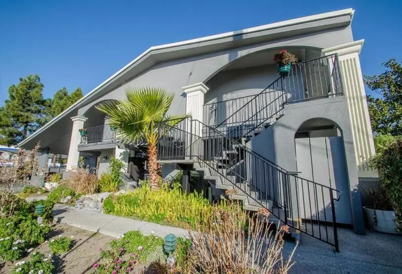 ホテル Continental Inn