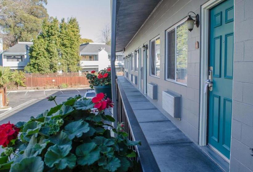 Отель Continental Inn