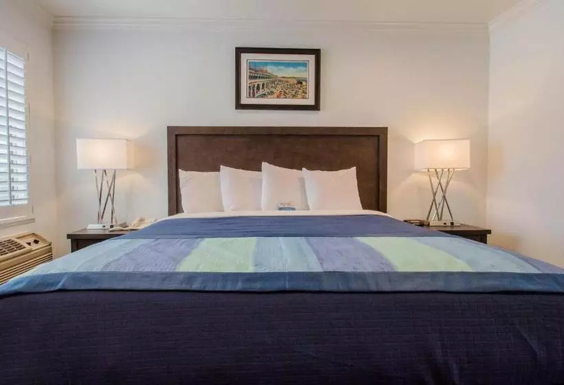 ホテル Continental Inn