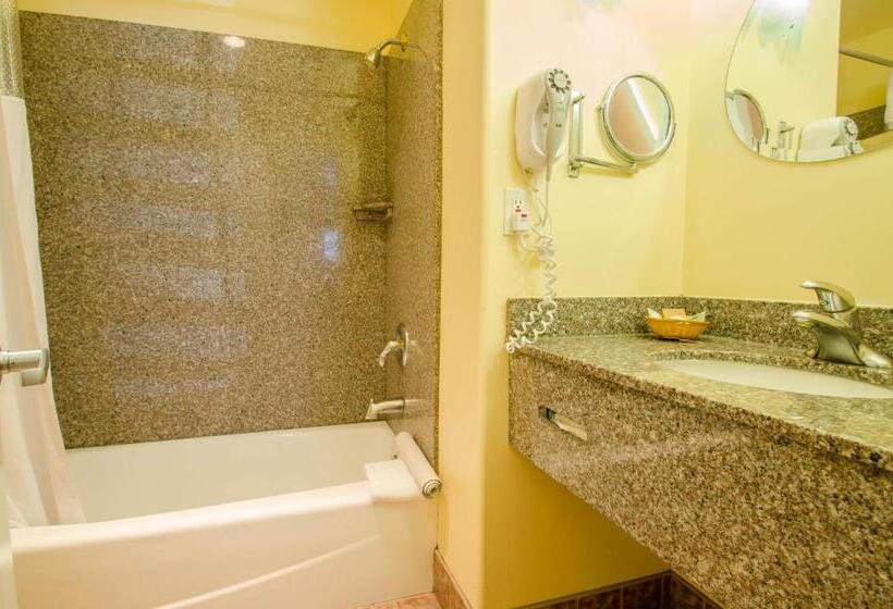 Отель Continental Inn