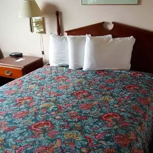 فندق Urbana Inn And Suites