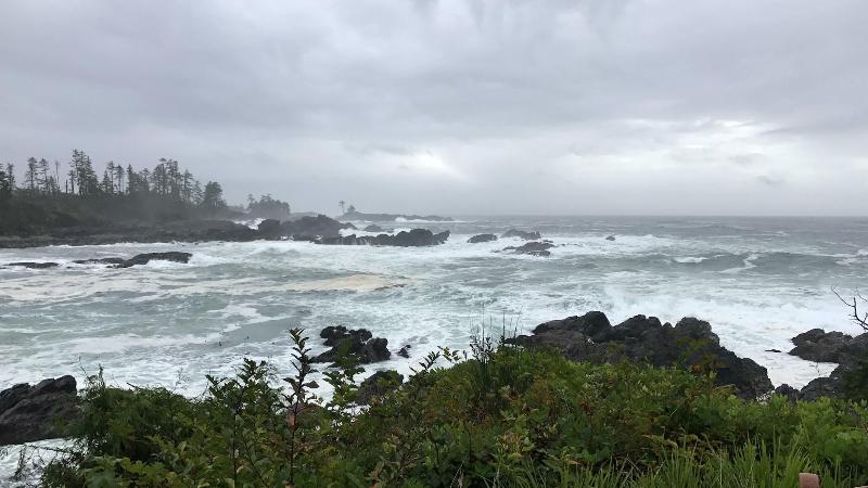 Otel Waters Edge Shoreside Suites