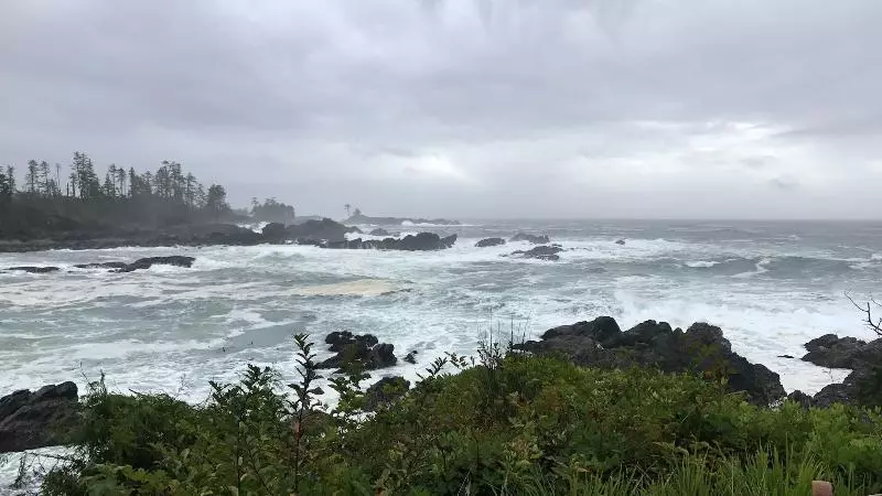 בית מלון כפרי Waters Edge Shoreside Suites