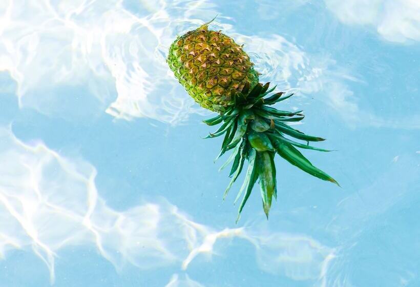 리조트 Parrot Key Hotel & Villas