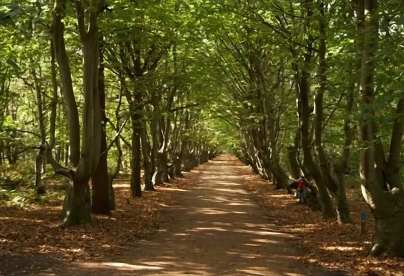 Strandhotel Bos En Duin