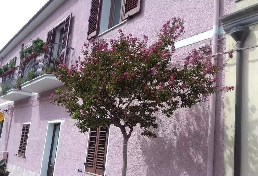 ベッドアンドブレックファースト Canne Al Vento