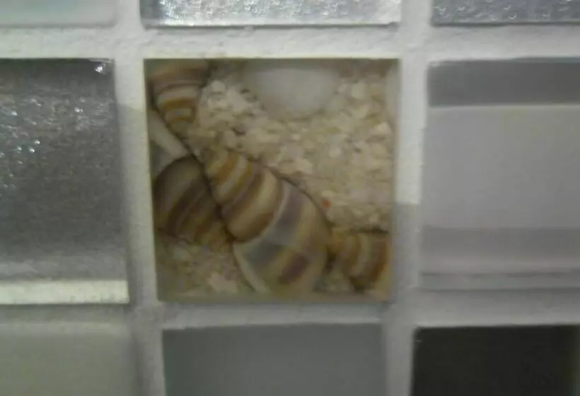 ベッドアンドブレックファースト Canne Al Vento