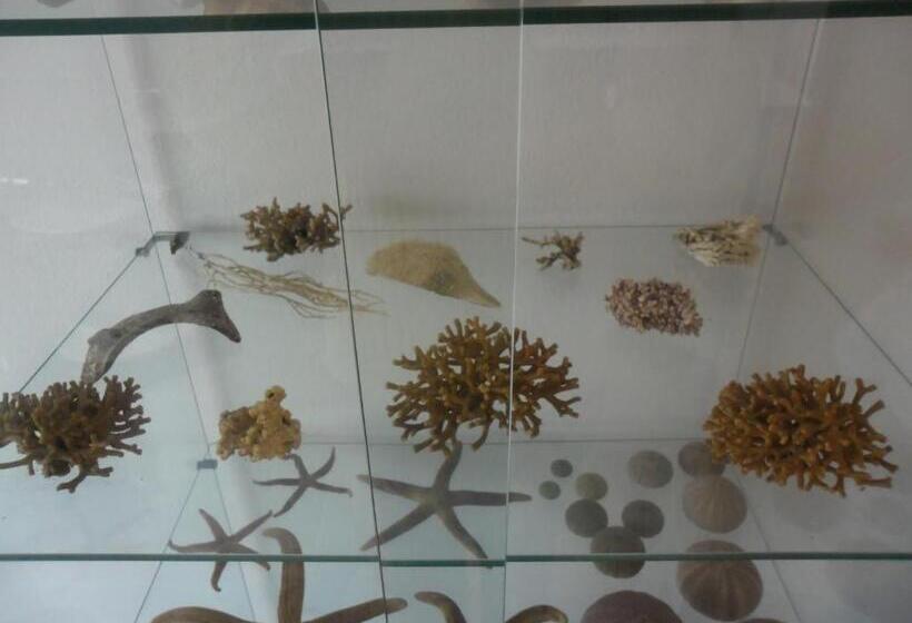 住宿加早餐  Canne Al Vento