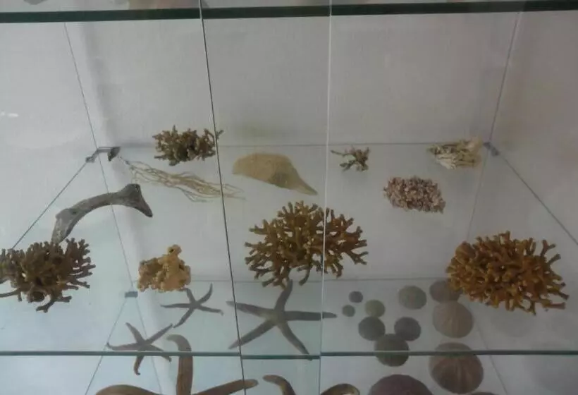 ベッドアンドブレックファースト Canne Al Vento