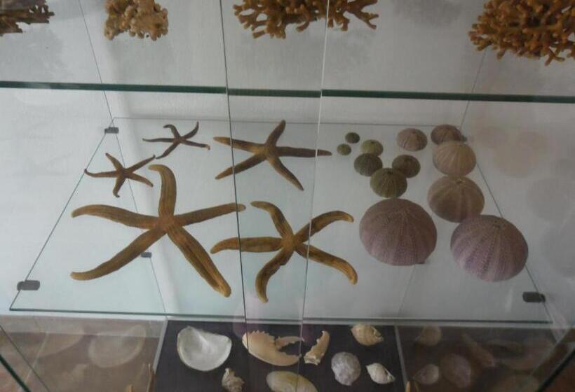 住宿加早餐  Canne Al Vento