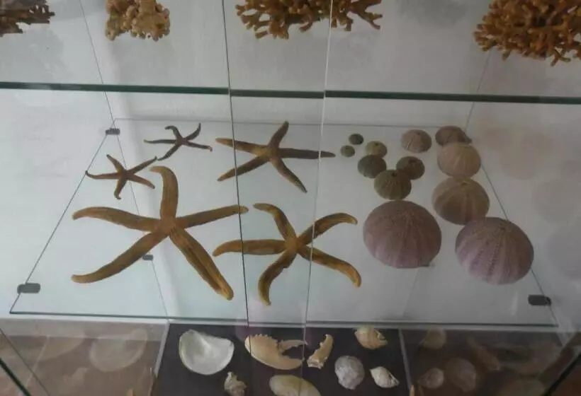 ベッドアンドブレックファースト Canne Al Vento