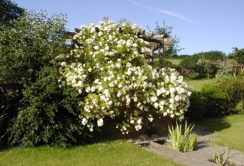 Combe Lancey Farmhouse B&b