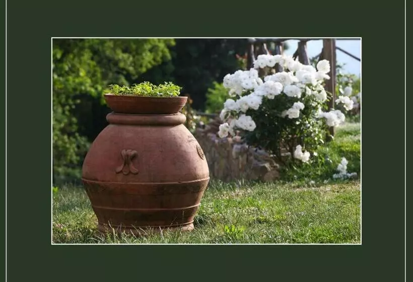 Hotelli Podere Marroneto