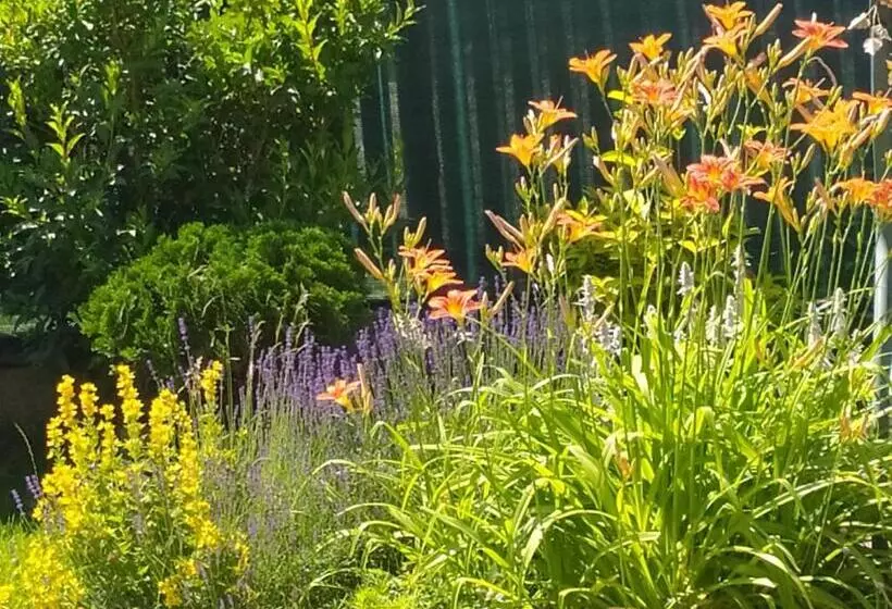 ペンション Penzion Tatry