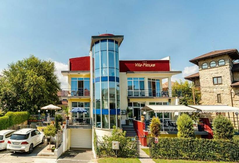 پانسیون Plexus Boutique