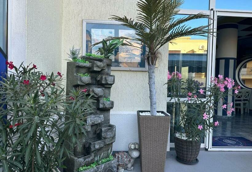 پانسیون Plexus Boutique