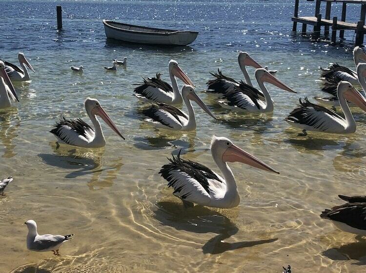 Beaches Apartments Merimbula