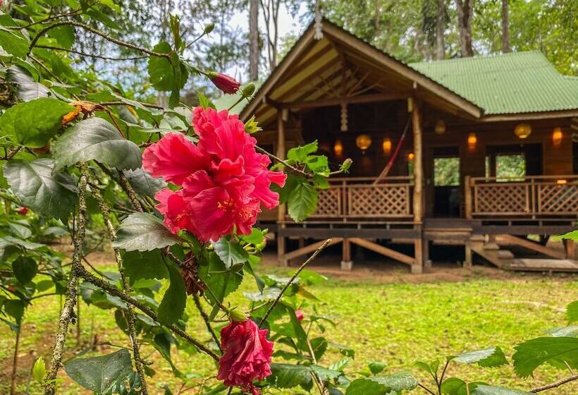 Finca Chica Lodge & Villas