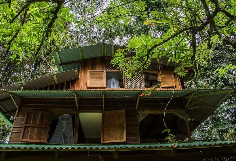 Finca Chica Lodge & Villas