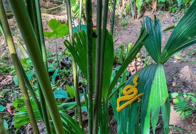 Finca Chica Lodge & Villas