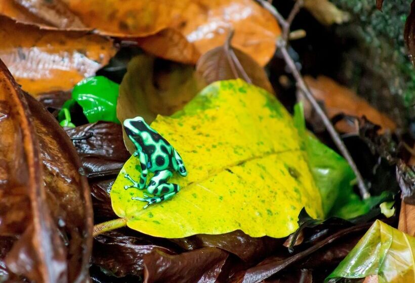 Finca Chica Lodge & Villas