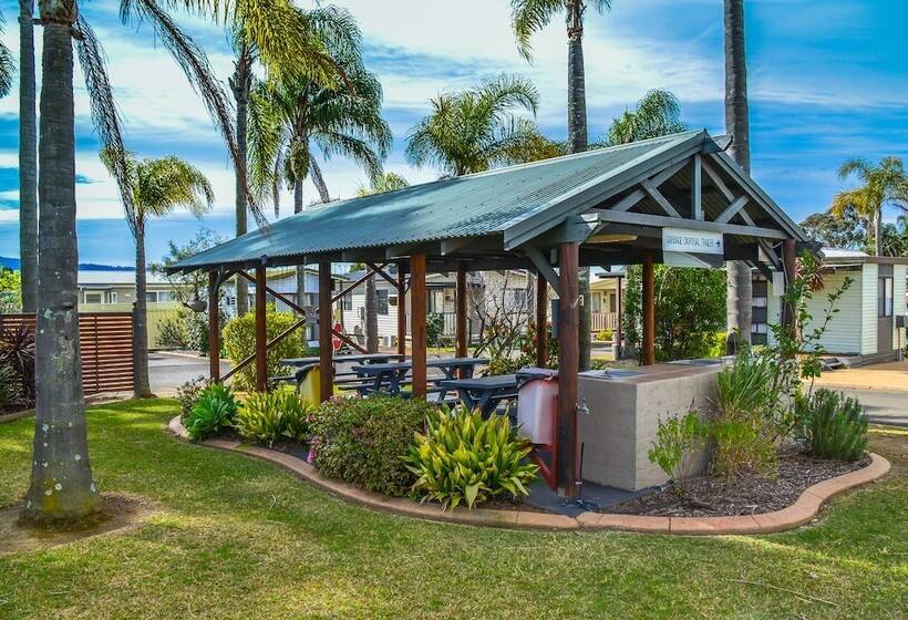 Hotel Treehaven Tourist Park