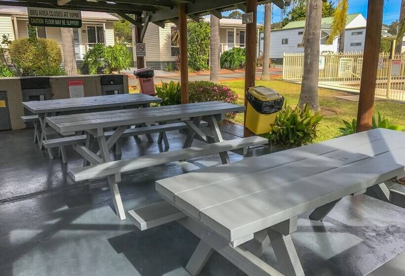 Hotel Treehaven Tourist Park