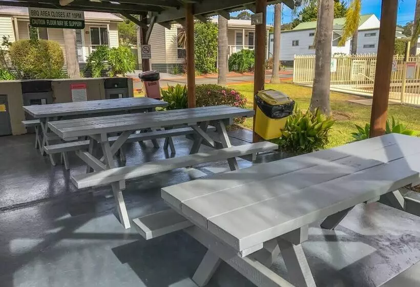 Hotelli Treehaven Tourist Park