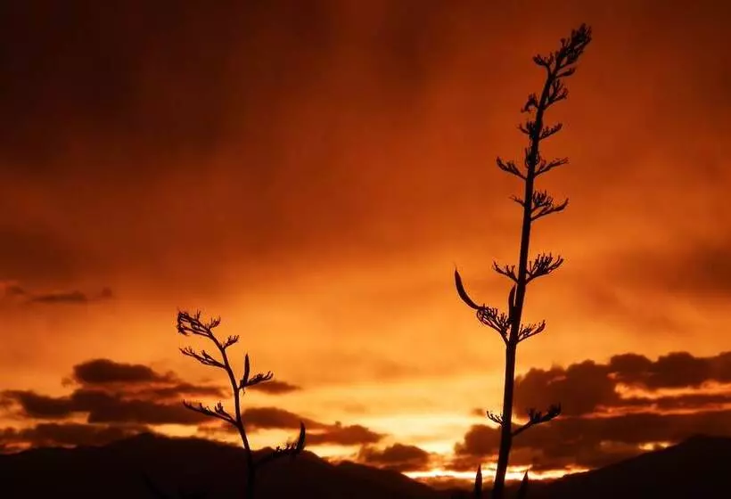 Majatalo The Bay Lodge