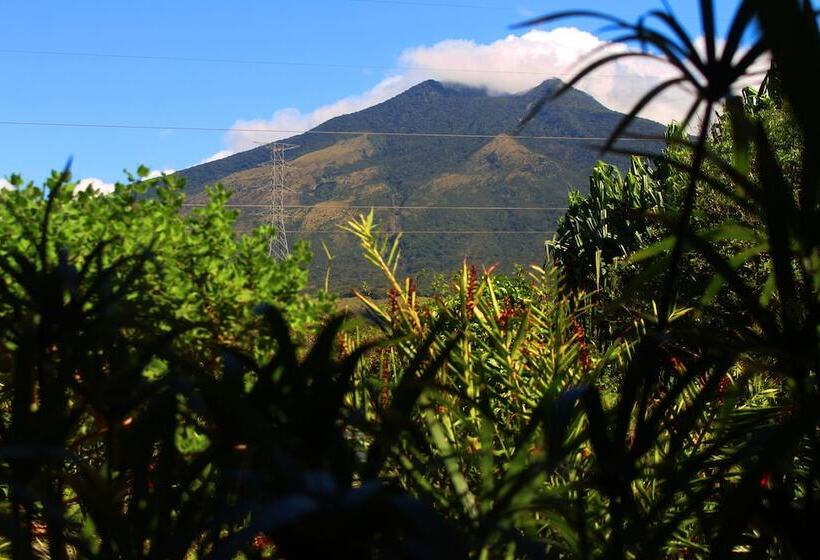 Colinas Del Miravalles