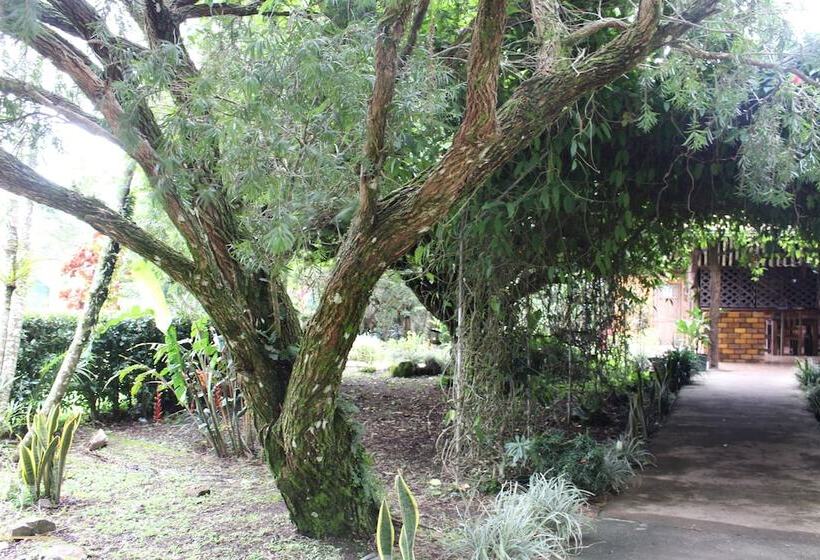 Colinas Del Miravalles