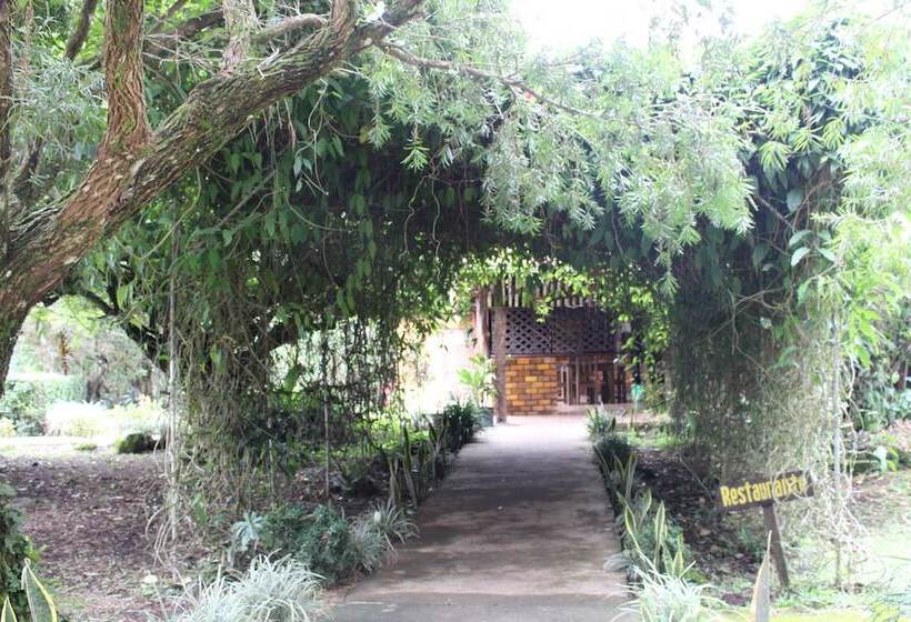 Colinas Del Miravalles