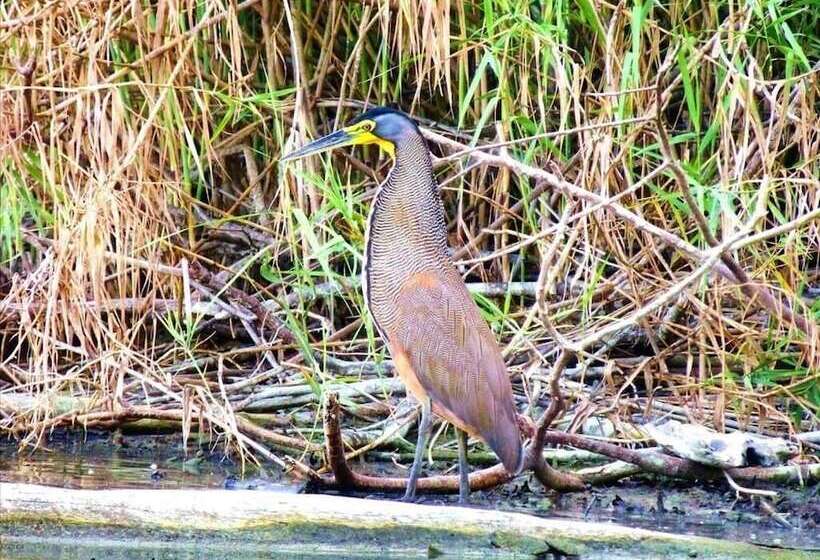 호텔 Lagunavista Villas
