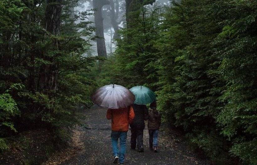Cabañas Portal Pucon
