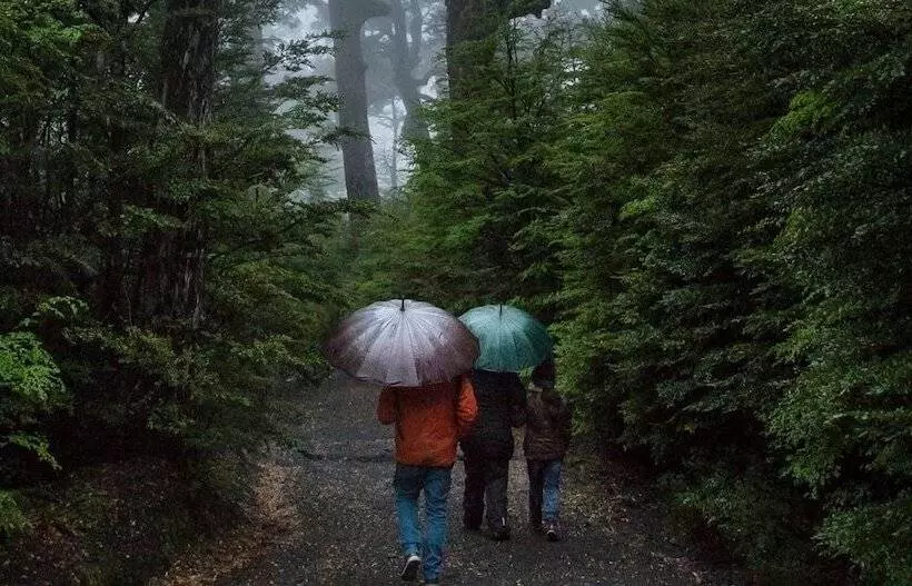 Cabañas Portal Pucon