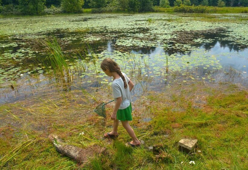בית מלון כפרי Lake George Escape