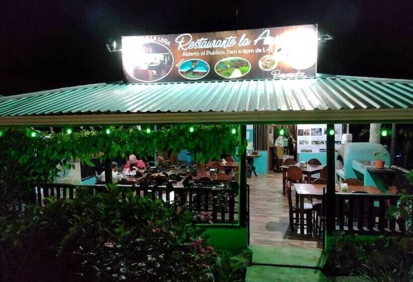 酒店 Posada Río Celeste La Amistad