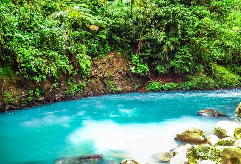 Hotelli Posada Río Celeste La Amistad