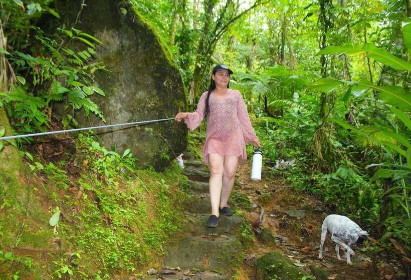 酒店 Posada Río Celeste La Amistad