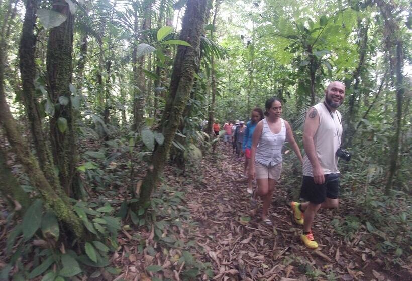 酒店 Posada Río Celeste La Amistad
