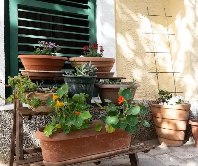 Cozy 1bedroom Apartment Sonia