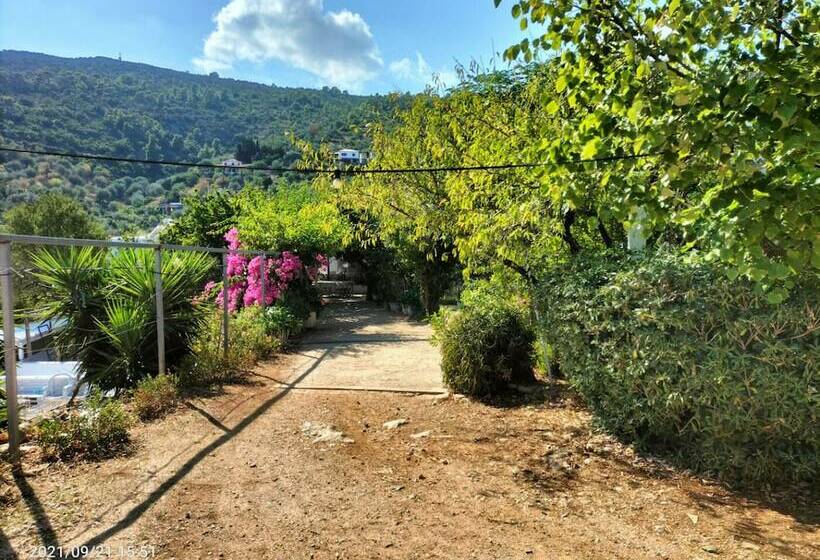 پانسیون Ikion