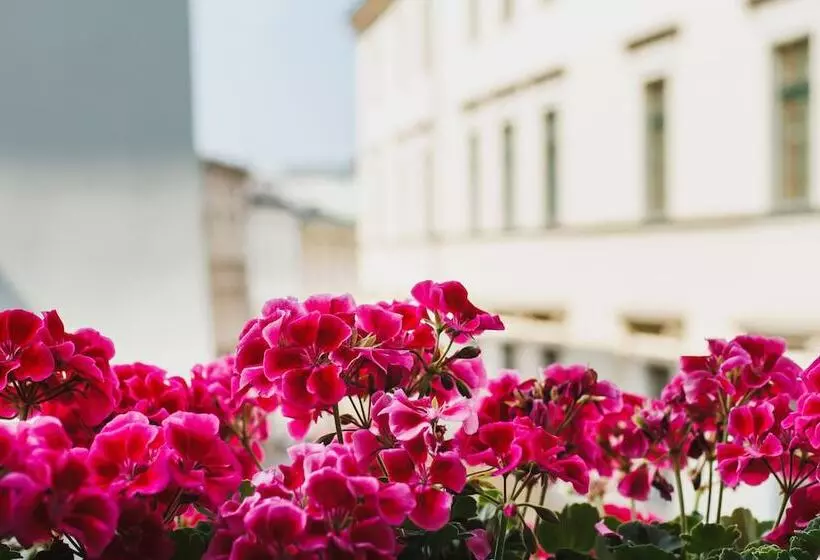 Bracka 15   Main Square Apartments