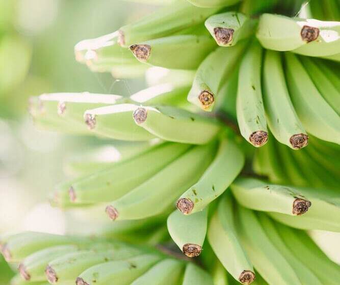 Casa Rural El Patio De Tita