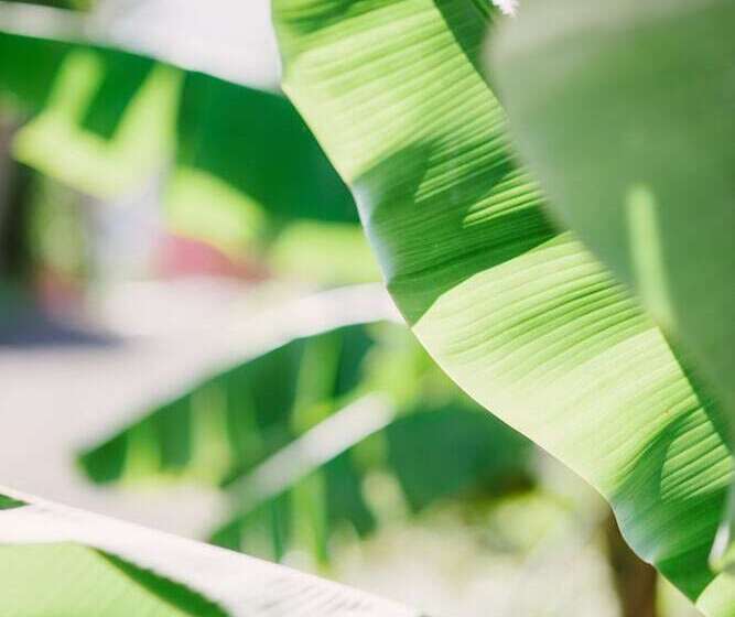 Casa Rural El Patio De Tita