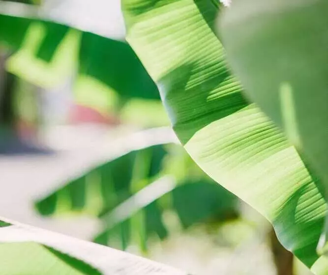 Casa Rural El Patio De Tita